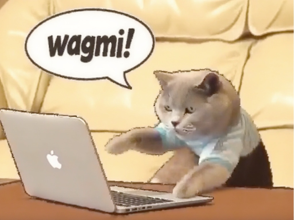 Cat typing with LFG!