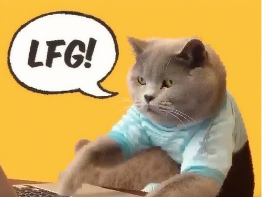Cat in bed saying Click!